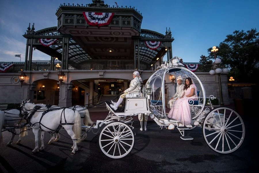 Bride Entry Ideas