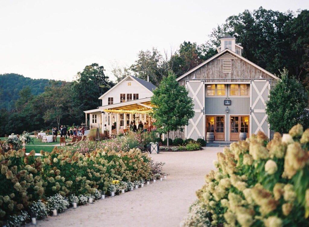 Beach Wedding or Winter Wedding